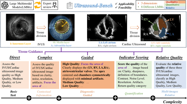 Figure 1 for Ultrasound-QBench: Can LLMs Aid in Quality Assessment of Ultrasound Imaging?