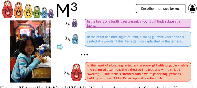 Figure 1 for Matryoshka Multimodal Models