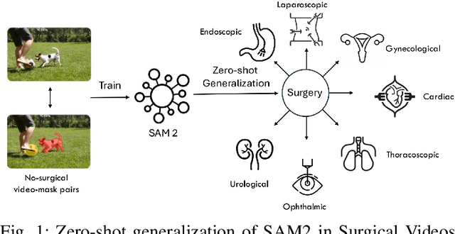 Figure 1 for Is Segment Anything Model 2 All You Need for Surgery Video Segmentation? A Systematic Evaluation