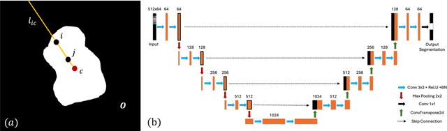 Figure 3 for Topology-based deep-learning segmentation method for deep anterior lamellar keratoplasty (DALK) surgical guidance using M-mode OCT data