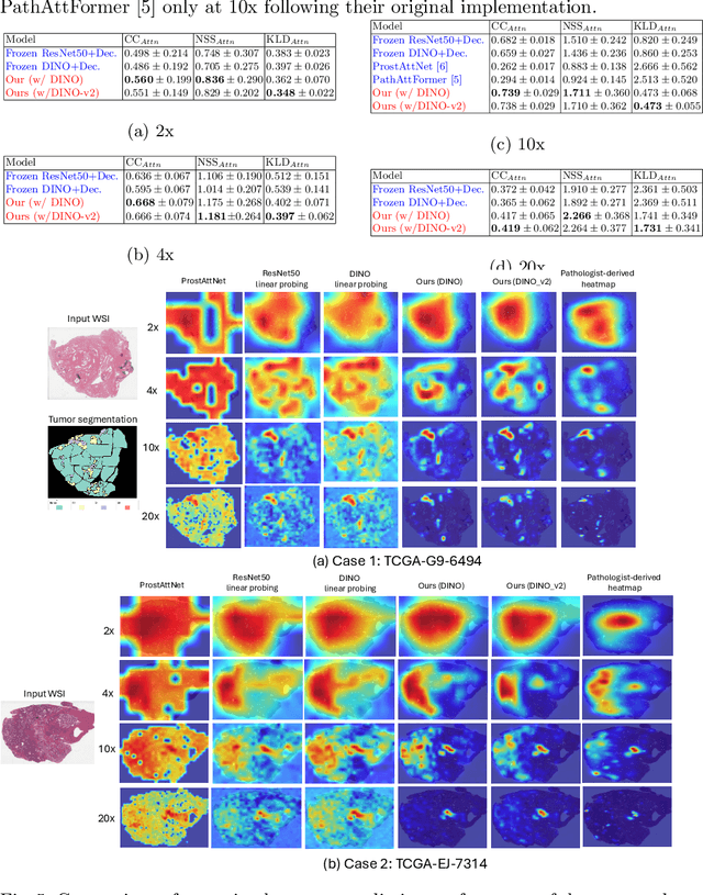 Figure 2 for Decoding the visual attention of pathologists to reveal their level of expertise