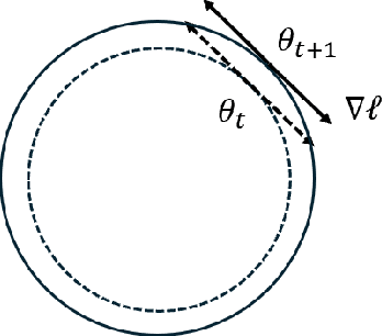 Figure 1 for The Implicit Bias of Gradient Noise: A Symmetry Perspective