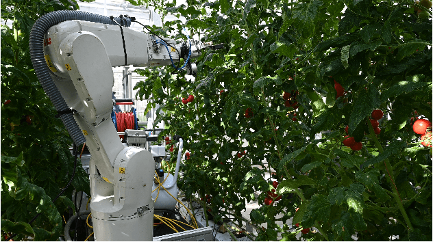 Figure 1 for A comparison between single-stage and two-stage 3D tracking algorithms for greenhouse robotics