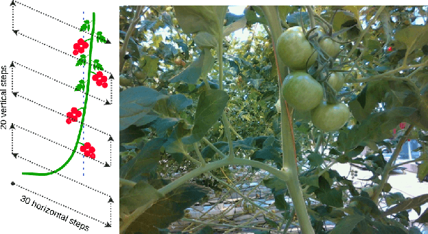 Figure 2 for A comparison between single-stage and two-stage 3D tracking algorithms for greenhouse robotics