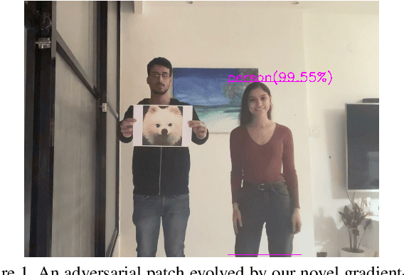 Figure 1 for Patch of Invisibility: Naturalistic Black-Box Adversarial Attacks on Object Detectors