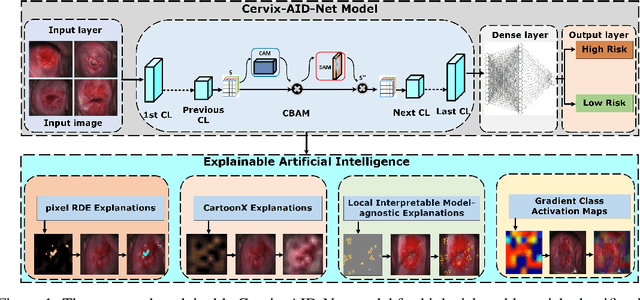 Figure 1 for An Explainable Attention Model for Cervical Precancer Risk Classification using Colposcopic Images