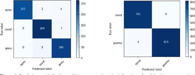 Figure 3 for Comparison of Neural Models for X-ray Image Classification in COVID-19 Detection