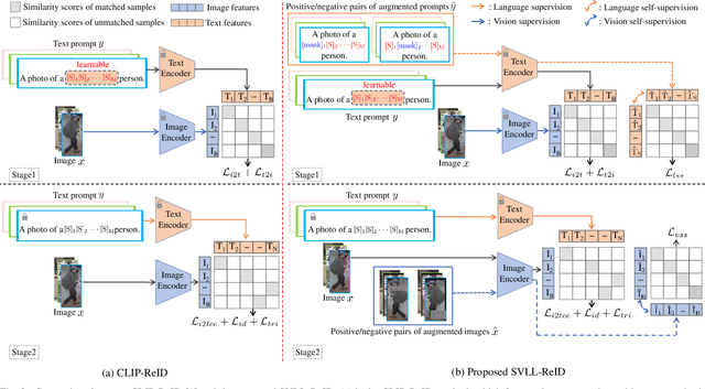 Figure 3 for Image Re-Identification: Where Self-supervision Meets Vision-Language Learning