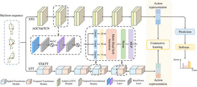 Figure 1 for Skeleton-based Action Recognition through Contrasting Two-Stream Spatial-Temporal Networks