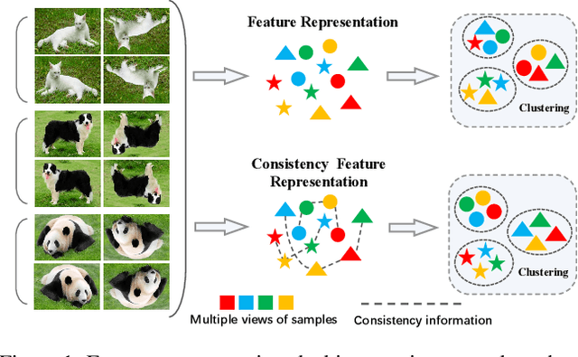 Figure 1 for Consistency Enhancement-Based Deep Multiview Clustering via Contrastive Learning