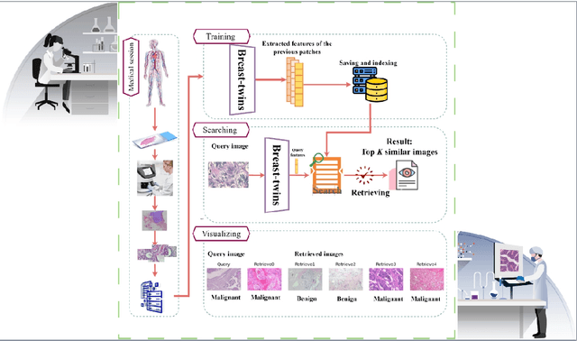 Figure 1 for Siamese Content-based Search Engine for a More Transparent Skin and Breast Cancer Diagnosis through Histological Imaging