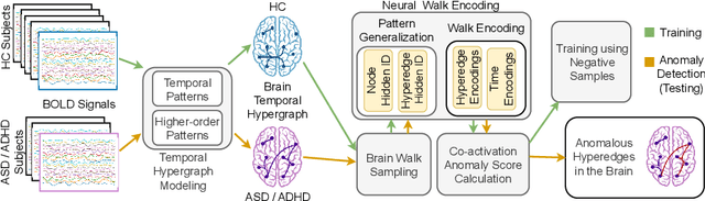 Figure 1 for HyperBrain: Anomaly Detection for Temporal Hypergraph Brain Networks