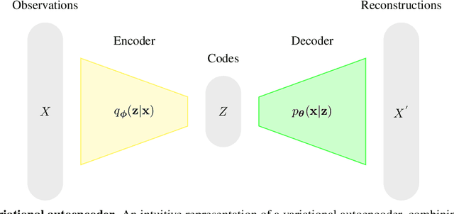 Figure 4 for Disentangled Representations for Causal Cognition