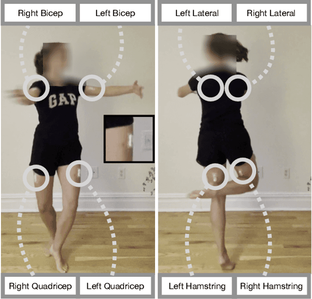 Figure 2 for Muscles in Action