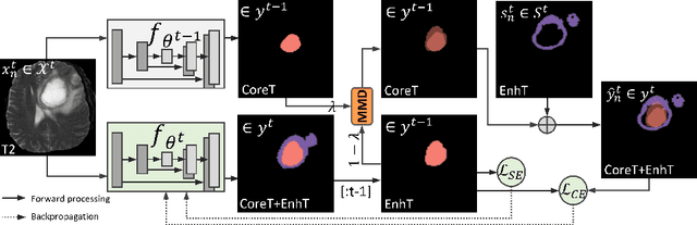 Figure 3 for Incremental Learning for Heterogeneous Structure Segmentation in Brain Tumor MRI