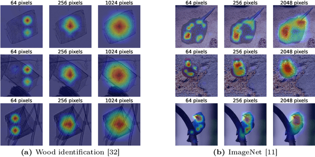 Figure 1 for Top-GAP: Integrating Size Priors in CNNs for more Interpretability, Robustness, and Bias Mitigation