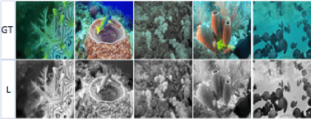 Figure 3 for UW-ProCCaps: UnderWater Progressive Colourisation with Capsules