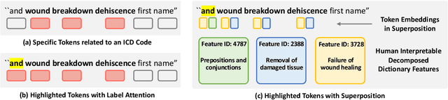 Figure 1 for Beyond Label Attention: Transparency in Language Models for Automated Medical Coding via Dictionary Learning