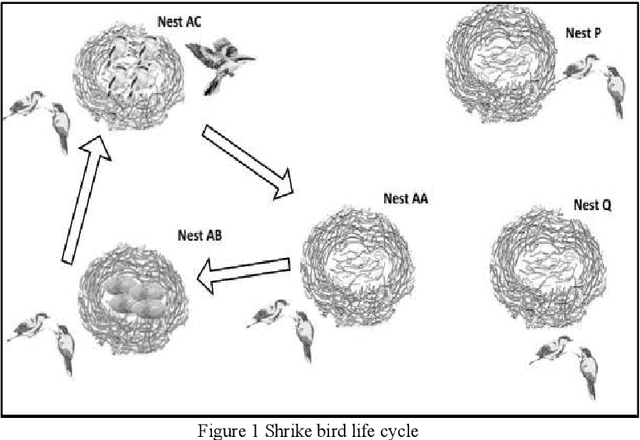 Figure 1 for In Search of Excellence: SHOA as a Competitive Shrike Optimization Algorithm for Multimodal Problems