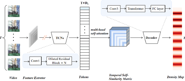 Figure 3 for Full Resolution Repetition Counting