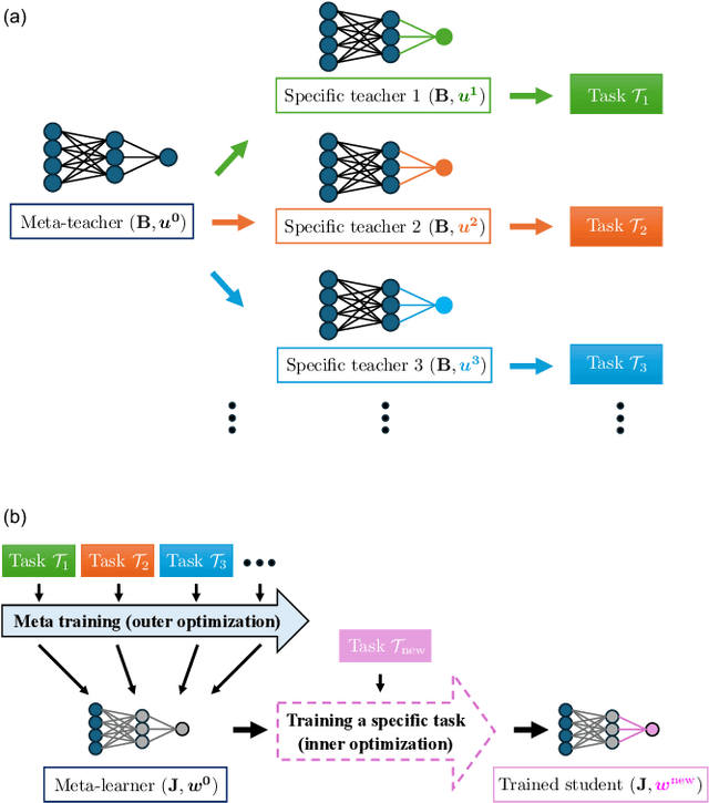 Figure 1 for Dynamics of Meta-learning Representation in the Teacher-student Scenario