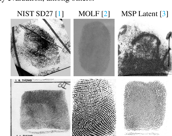 Figure 1 for Accelerated Fingerprint Enhancement: A GPU-Optimized Mixed Architecture Approach