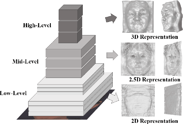 Figure 1 for Revisiting Marr in Face: The Building of 2D--2.5D--3D Representations in Deep Neural Networks