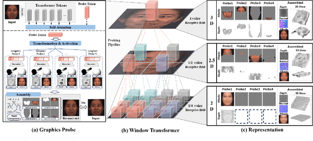 Figure 4 for Revisiting Marr in Face: The Building of 2D--2.5D--3D Representations in Deep Neural Networks