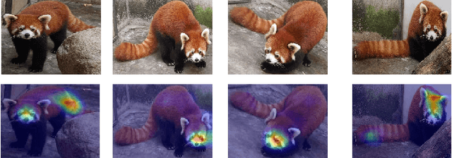 Figure 1 for Feature-Aware Noise Contrastive Learning For Unsupervised Red Panda Re-Identification