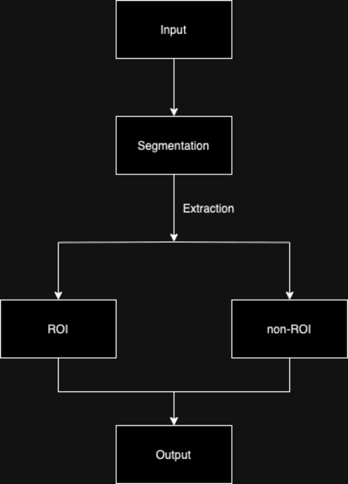 Figure 1 for Region of Interest based Medical Image Compression