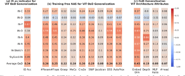 Figure 1 for Vision Transformer Neural Architecture Search for Out-of-Distribution Generalization: Benchmark and Insights