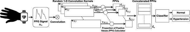 Figure 1 for Hypertension Detection From High-Dimensional Representation of Photoplethysmogram Signals