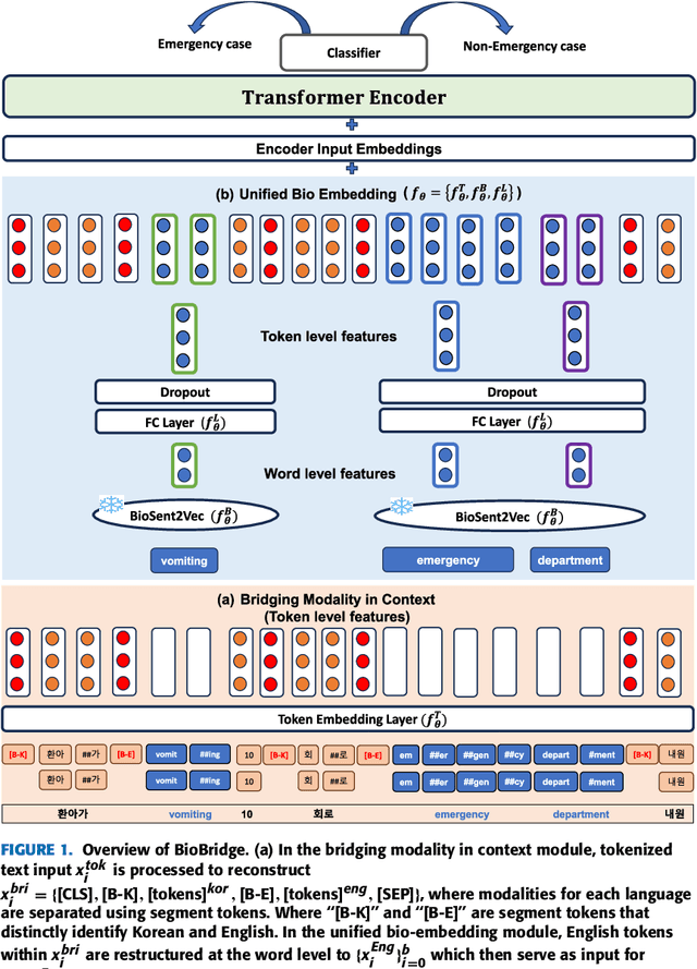 Figure 1 for BioBridge: Unified Bio-Embedding with Bridging Modality in Code-Switched EMR