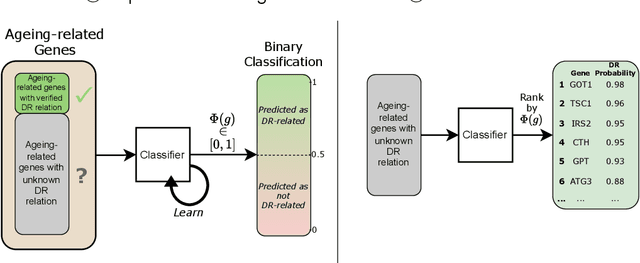Figure 1 for Positive-Unlabelled Learning for Identifying New Candidate Dietary Restriction-related Genes among Ageing-related Genes