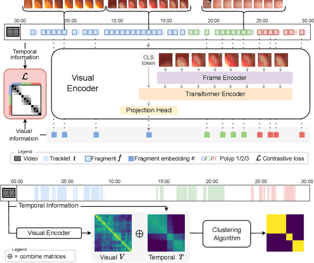 Figure 1 for Temporally-Aware Supervised Contrastive Learning for Polyp Counting in Colonoscopy