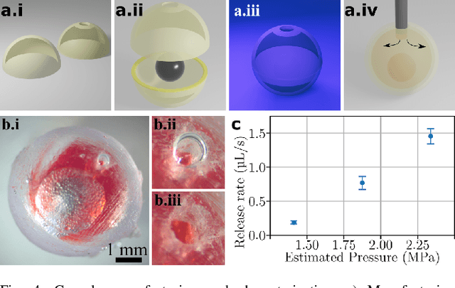 Figure 4 for MRI-powered Magnetic Miniature Capsule Robot with HIFU-controlled On-demand Drug Delivery