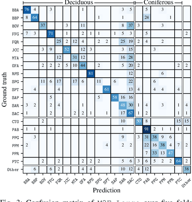 Figure 3 for SilvaScenes: Tree Segmentation and Species Classification from Under-Canopy Images in Natural Forests