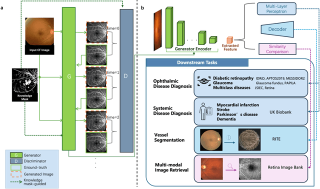 Figure 1 for Fundus to Fluorescein Angiography Video Generation as a Retinal Generative Foundation Model