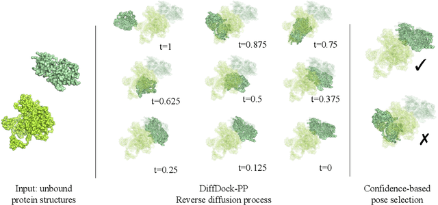 Figure 1 for DiffDock-PP: Rigid Protein-Protein Docking with Diffusion Models