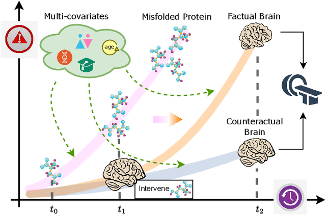 Figure 1 for Longitudinal Causal Image Synthesis