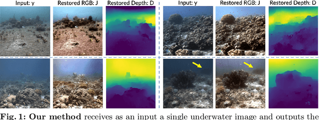 Figure 1 for Osmosis: RGBD Diffusion Prior for Underwater Image Restoration