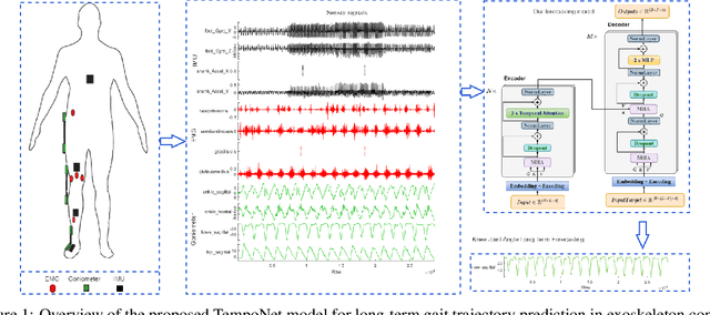 Figure 1 for TempoNet: Empowering long-term Knee Joint Angle Prediction with Dynamic Temporal Attention in Exoskeleton Control