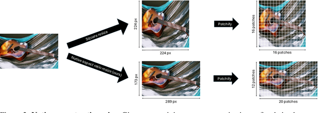 Figure 3 for NARAIM: Native Aspect Ratio Autoregressive Image Models