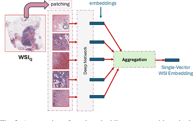 Figure 2 for Aggregation Schemes for Single-Vector WSI Representation Learning in Digital Pathology