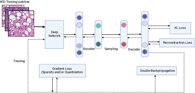 Figure 3 for Aggregation Schemes for Single-Vector WSI Representation Learning in Digital Pathology