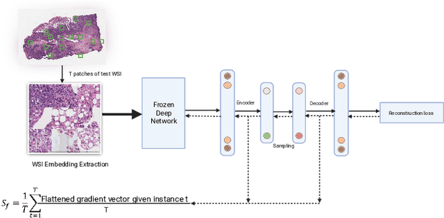 Figure 4 for Aggregation Schemes for Single-Vector WSI Representation Learning in Digital Pathology