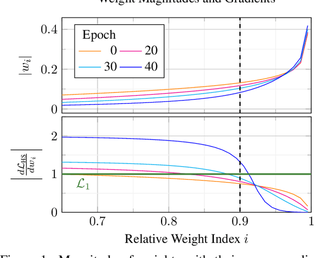 Figure 1 for HyperSparse Neural Networks: Shifting Exploration to Exploitation through Adaptive Regularization