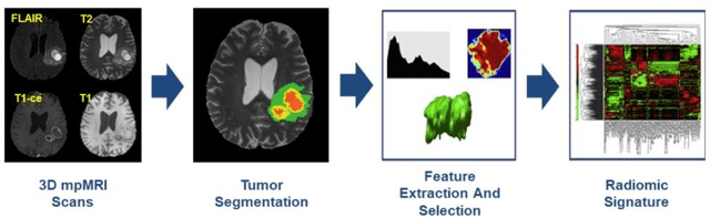 Figure 1 for Towards robust radiomics and radiogenomics predictive models for brain tumor characterization