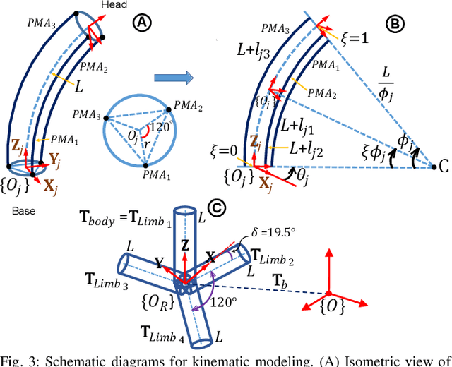 Figure 3 for Teleoperation of Soft Modular Robots: Study on Real-time Stability and Gait Control