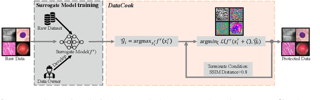 Figure 3 for DataCook: Crafting Anti-Adversarial Examples for Healthcare Data Copyright Protection